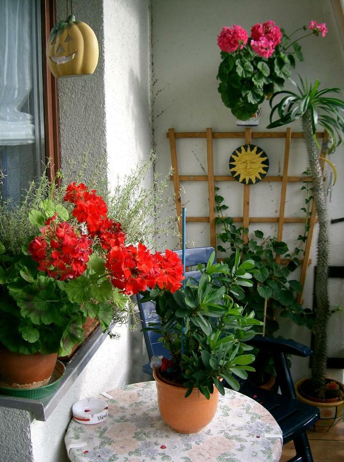 2-Zimmer-Ferienwohnung "Garten Der Welt" Berlin Extérieur photo